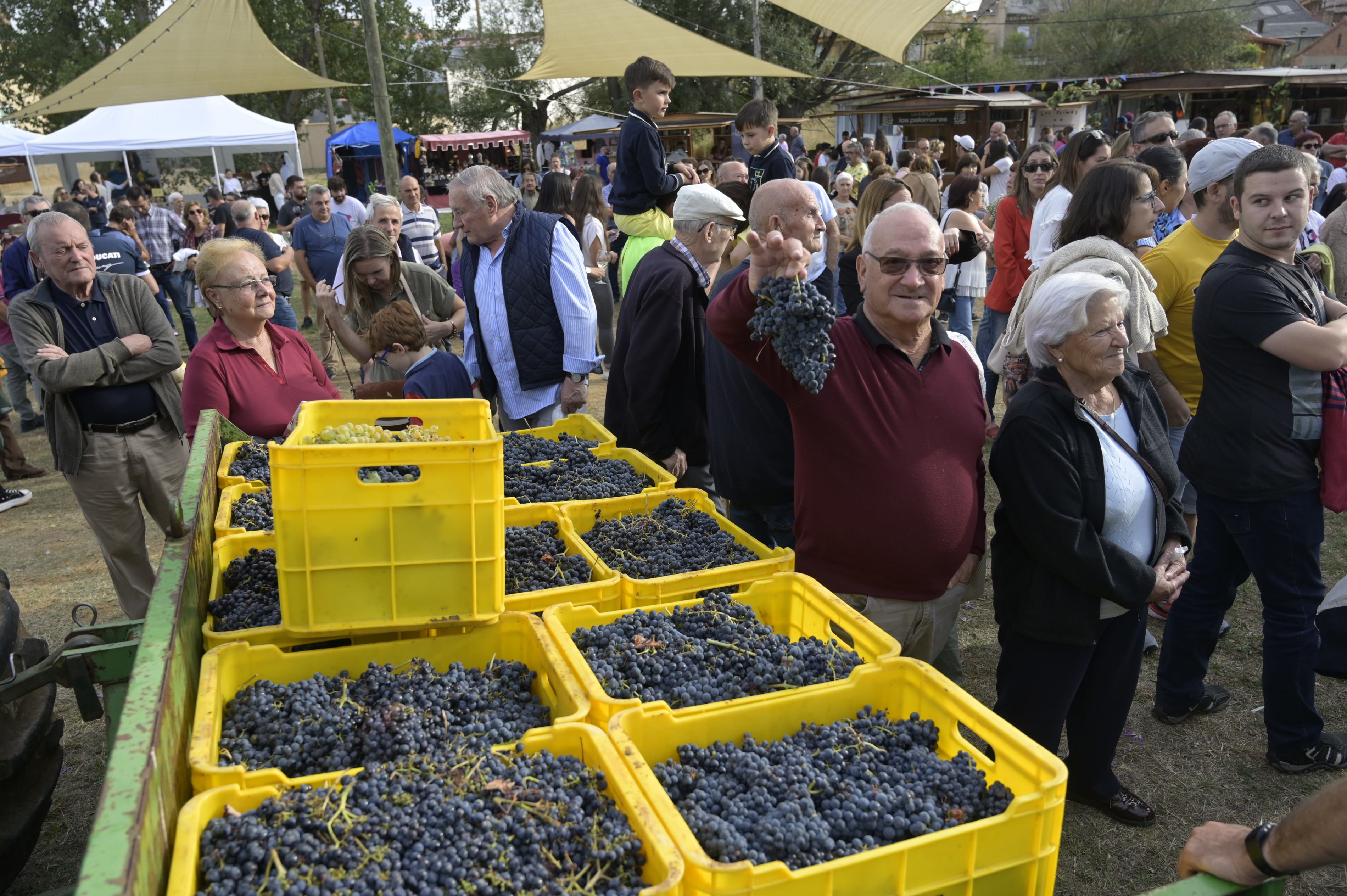 Las uvas y el vino que jugarán un papel protagonista indiscutible en esta feria. | LNC