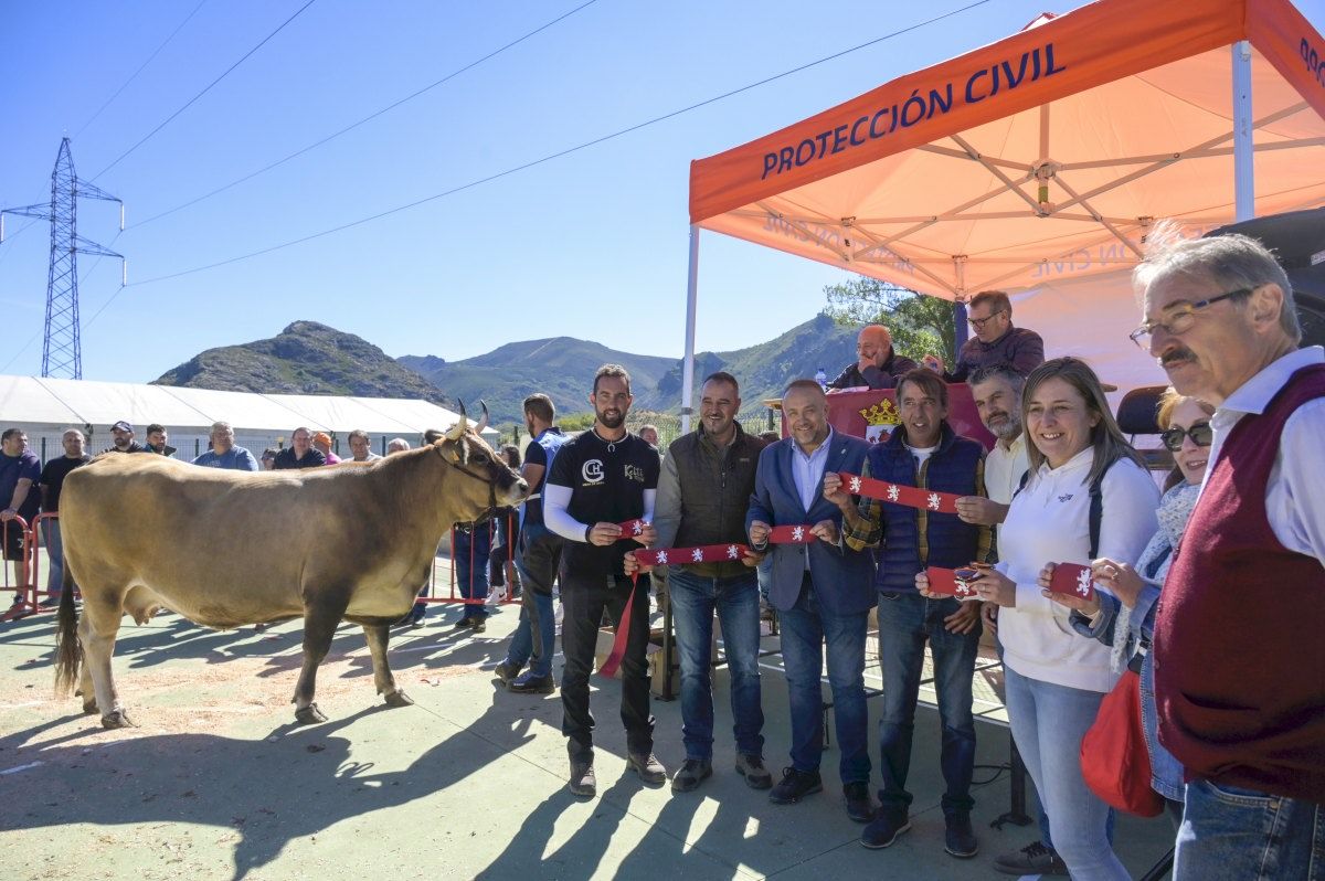 Asturiana de los Valles en Cabrillanes 18