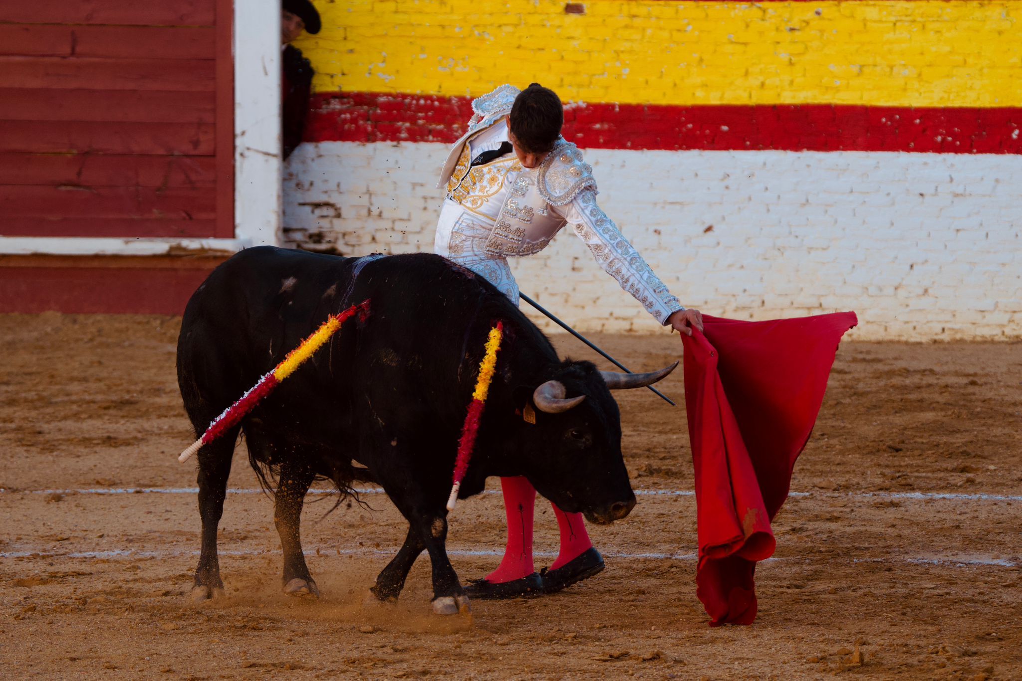 Novillada en Sahagún. | FUNDACIÓN TORO DE LIDIA