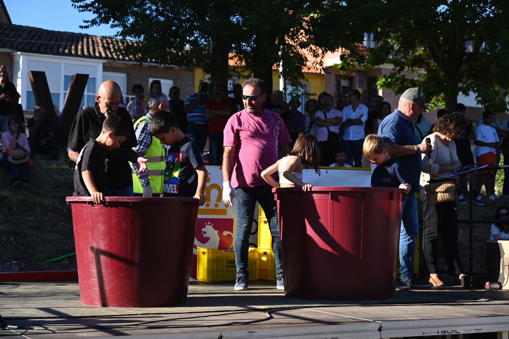  Feria de la Vendimia en Valdevimbre. 