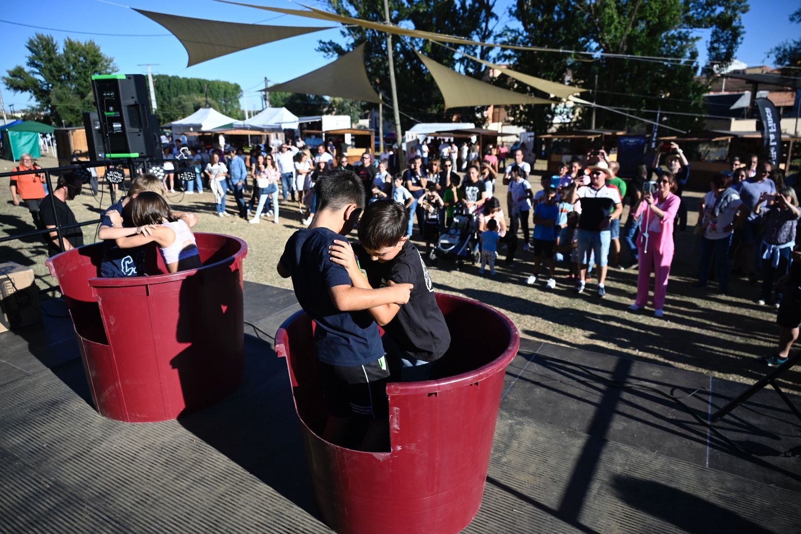  Feria de la Vendimia en Valdevimbre. 