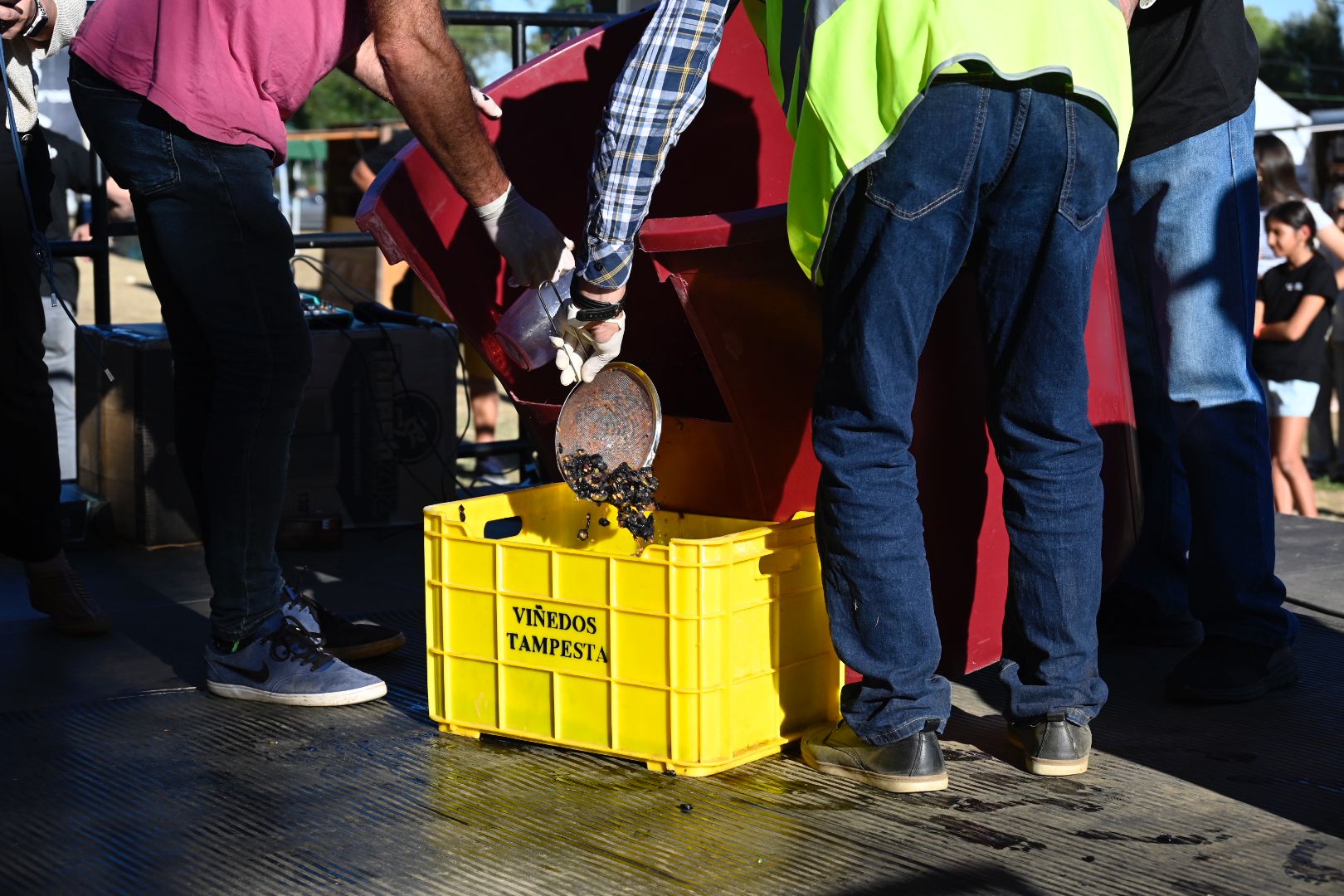  Feria de la Vendimia en Valdevimbre. 