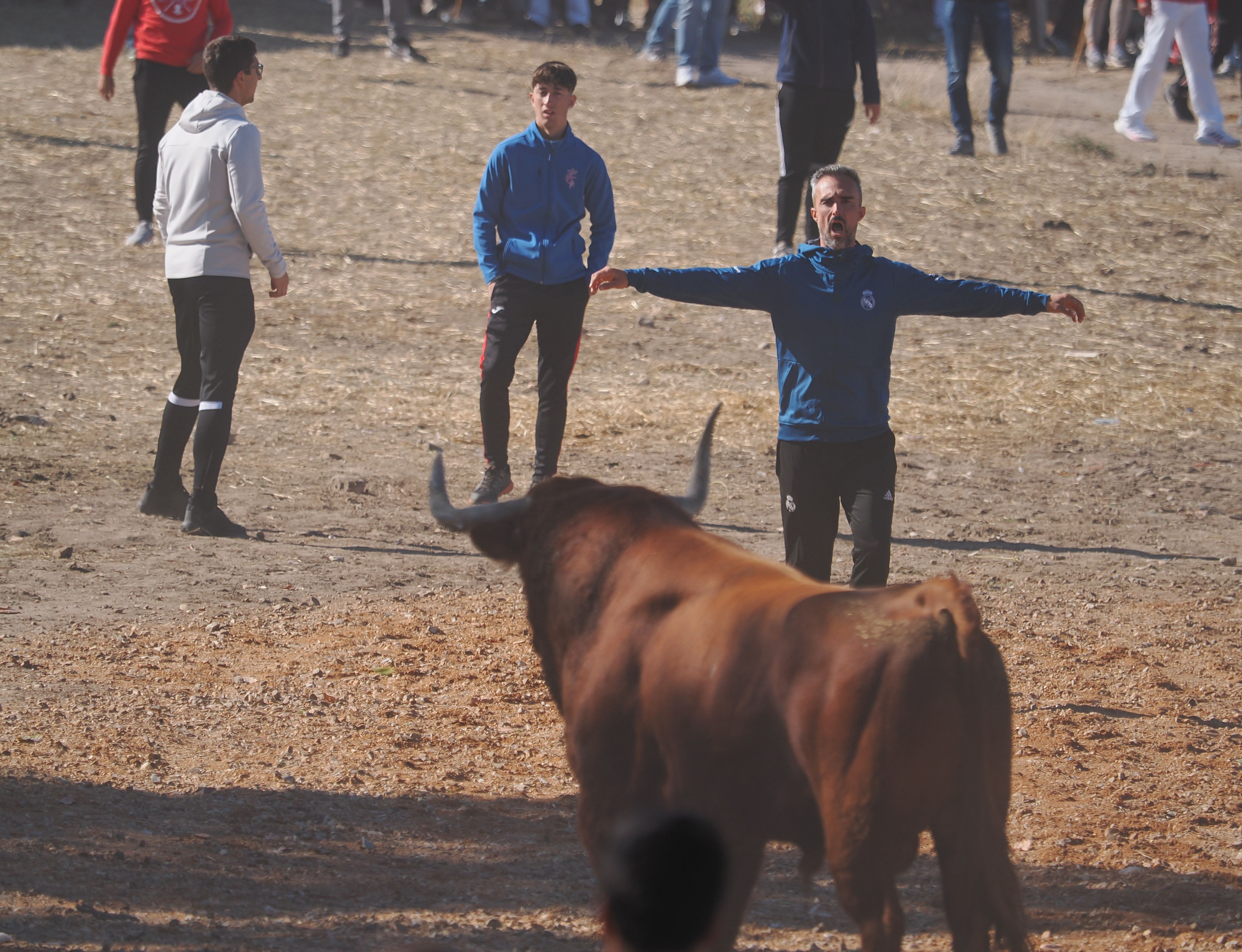 toro de la vega 2024 05