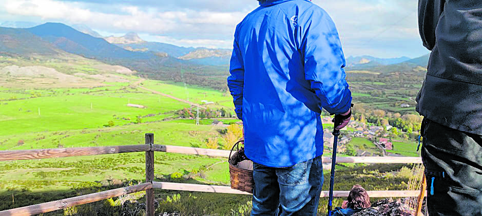 Alumnos durante las prácticas de campo recogiendo setas. | L.N.C.