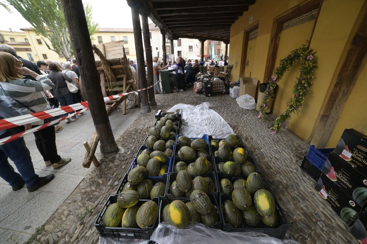 Romería La Melonera.