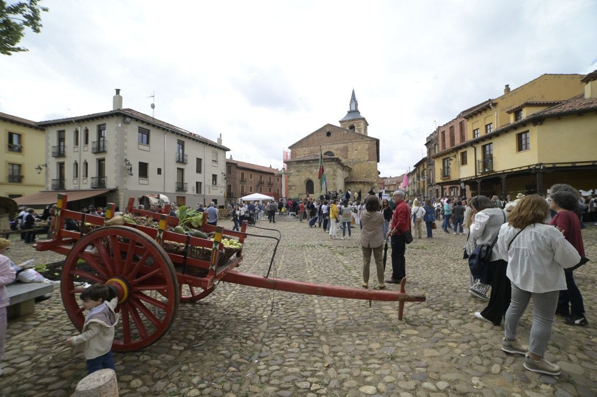 Romería La Melonera.