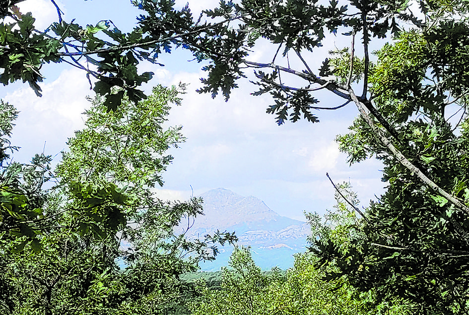 Peñacorada desde el bosque. | VICENTE GARCÍA