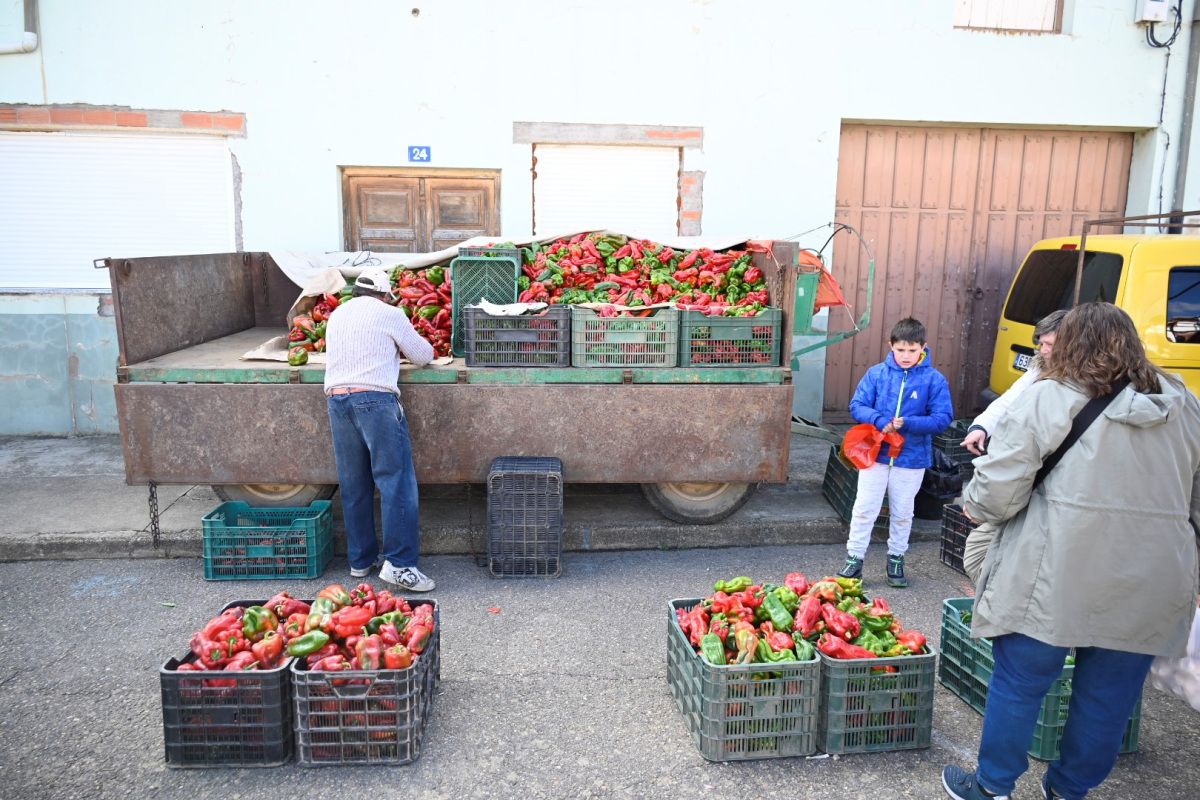 Feria del Pimiento Morrón 2024 Fresno de la Vega 5