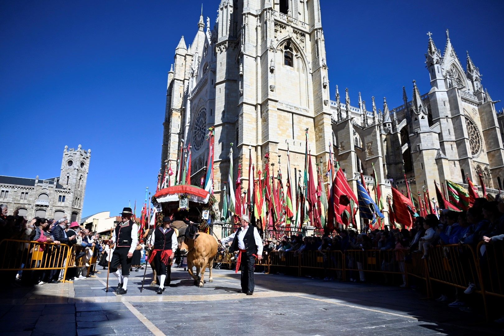 Carros y pendones San Froilán 2024 1