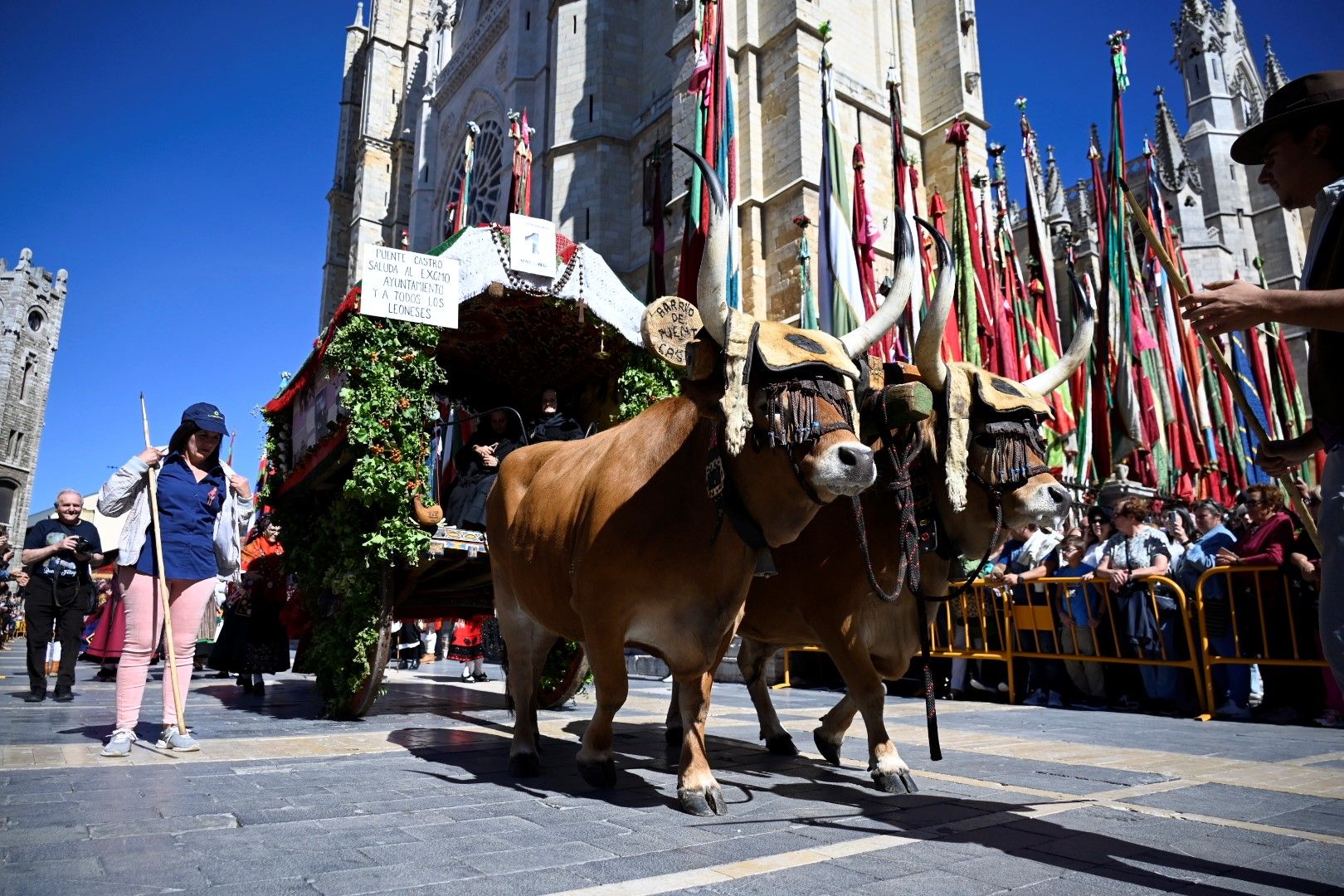 Carros y pendones San Froilán 2024 6