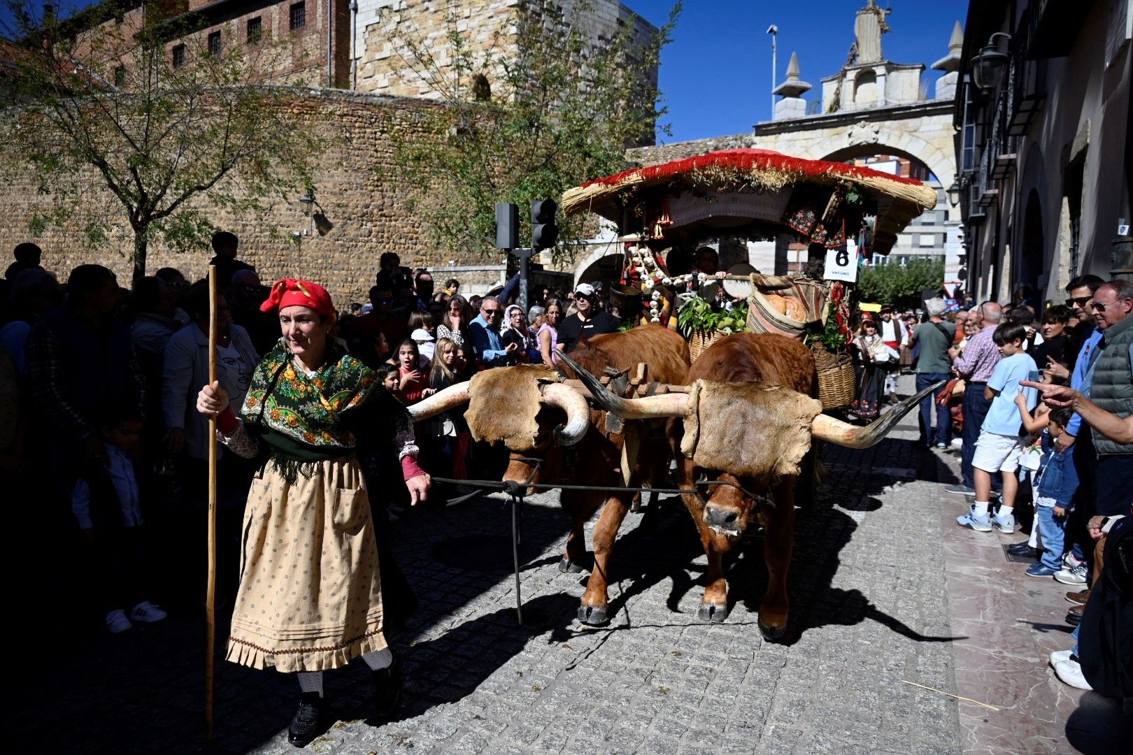 Carros y pendones San Froilán 2024 10