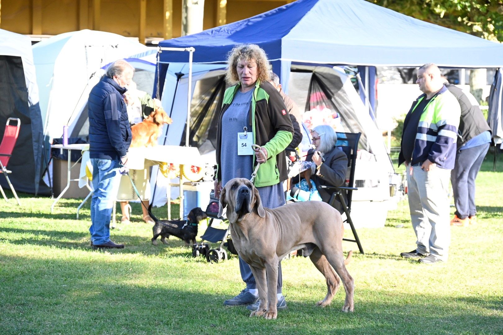 Exposición Internacional Canina 2024 2