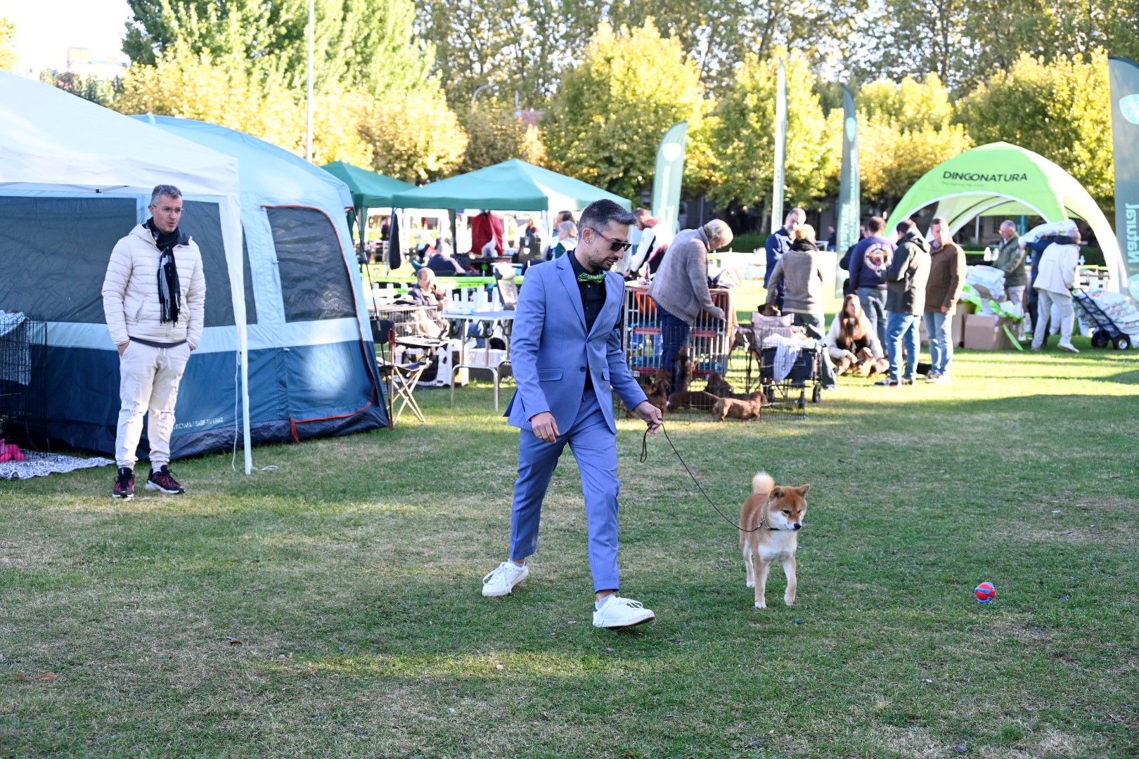 Exposición Internacional Canina 2024 4