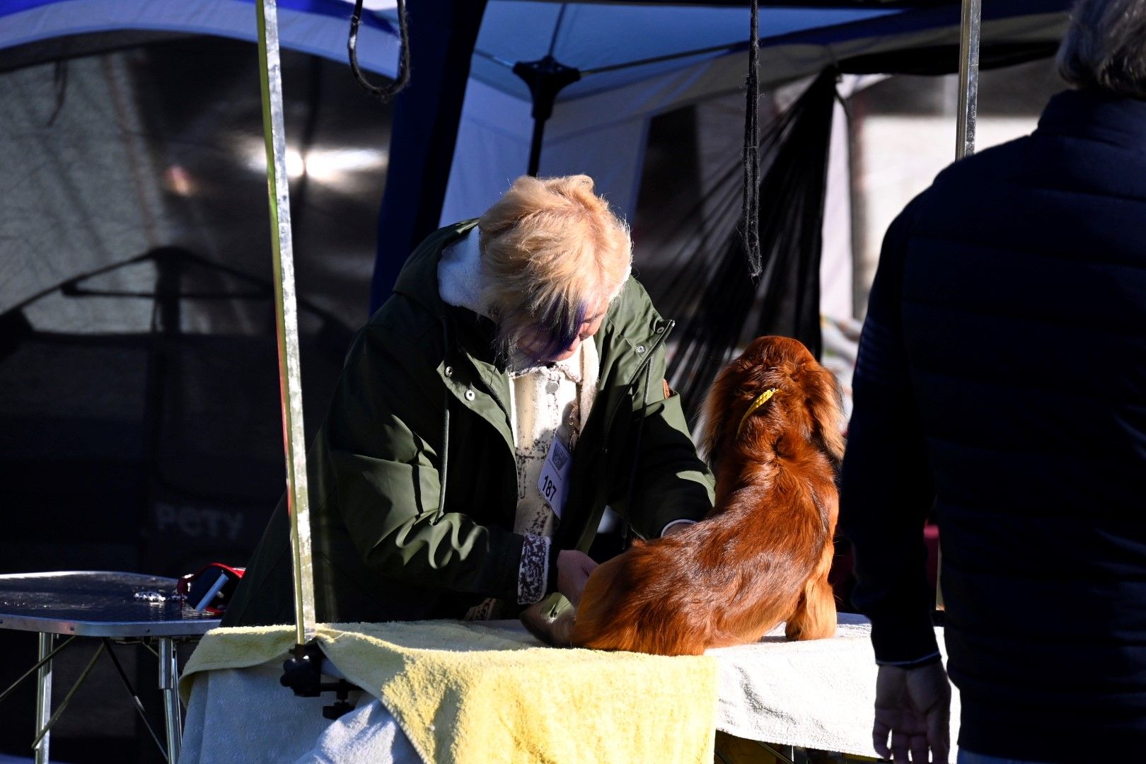 Exposición Internacional Canina 2024 5