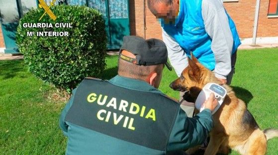 Imagen de una de las identificaciones realizadas por la Guardia Civil. | L.N.C.