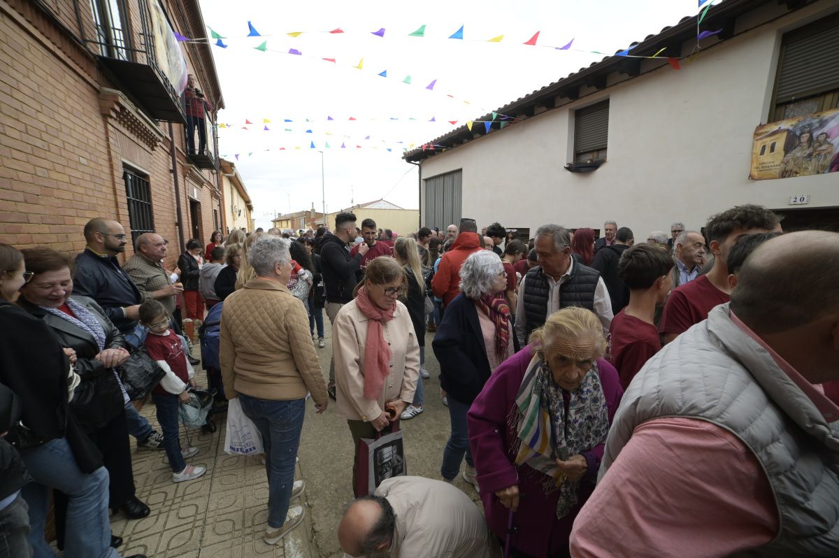 Lluvia de avellanas de La Cañamona.