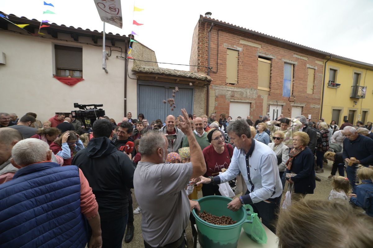 Lluvia de avellanas de La Cañamona.