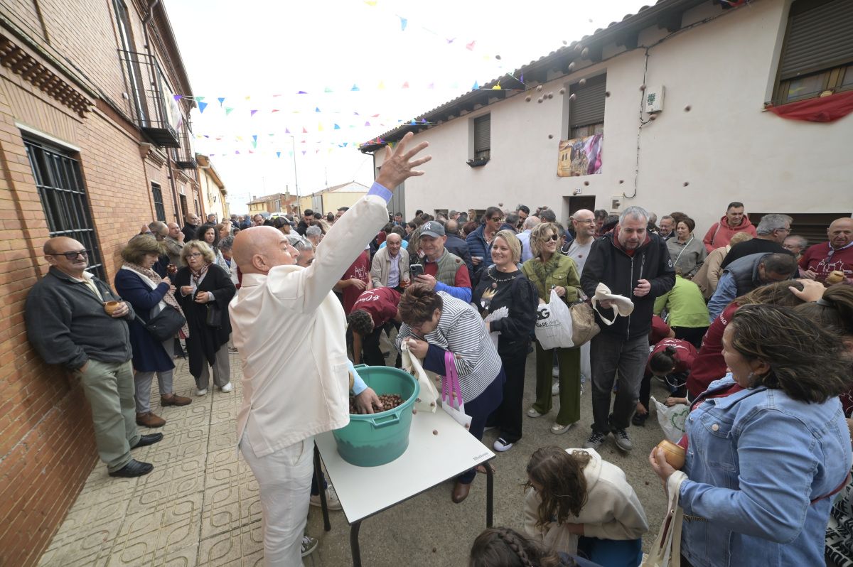 Lluvia de avellanas de La Cañamona.