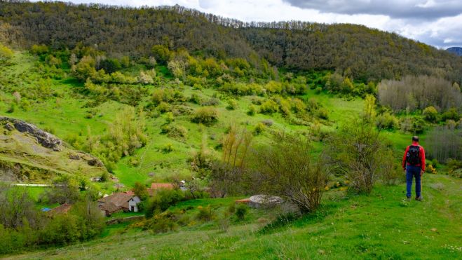 Orones a la vista. | VICENTE GARCÍA