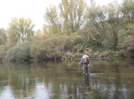 Despidiendo la temporada de la trucha, río esla. RPN