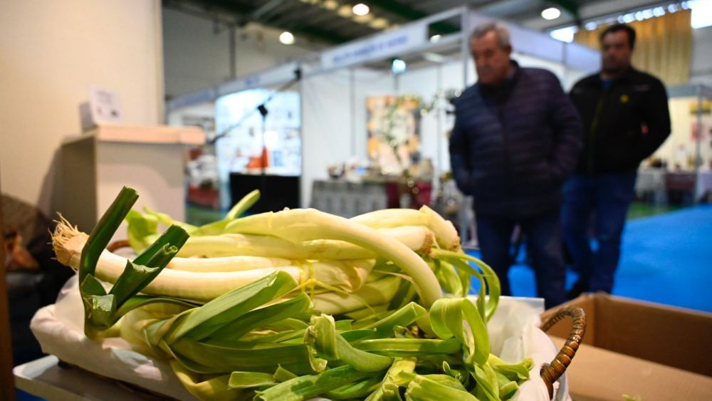 La inauguración oficial de la muestra tendrá lugar el sábado por la mañana.  | SAÚL ARÉN