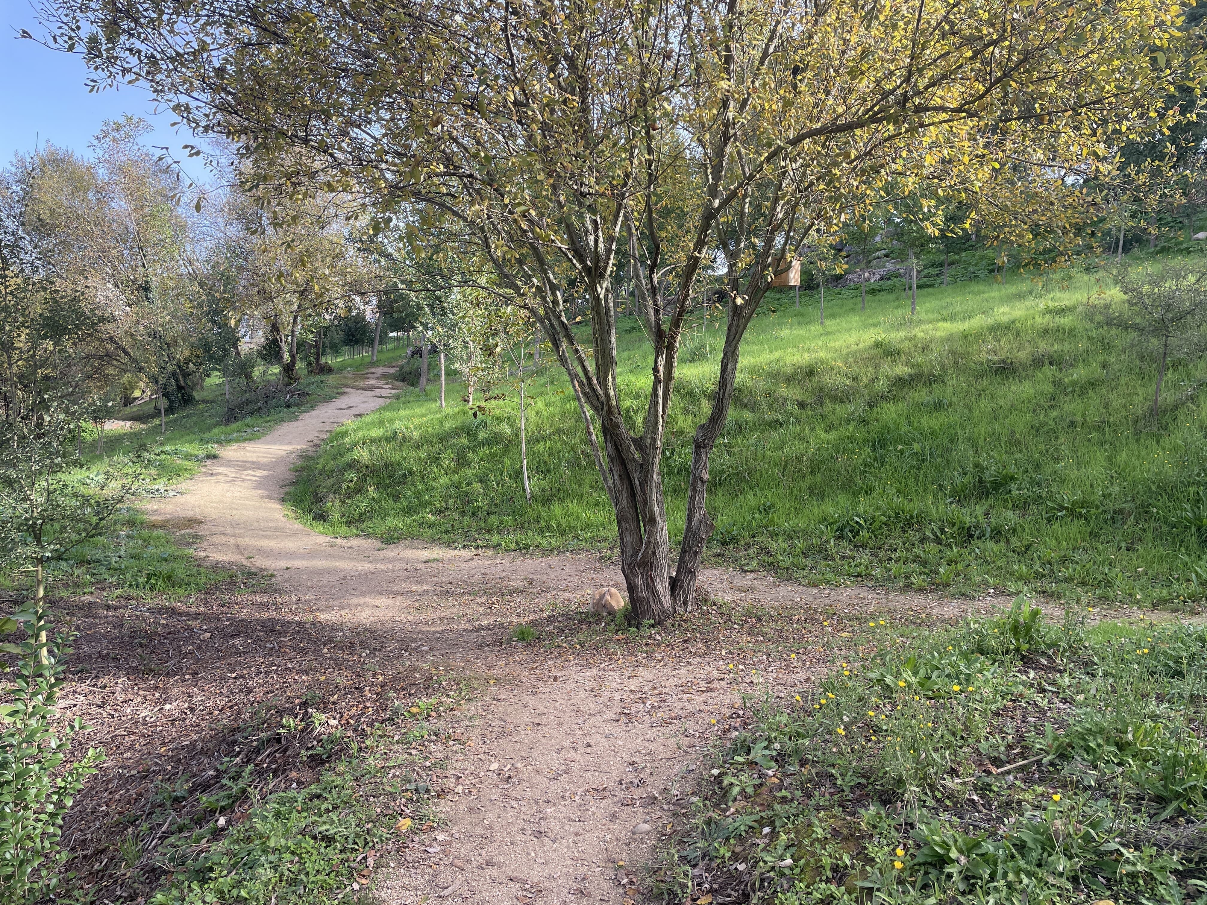 La zona presenta dos hectáreas de espacios verdes con dos kilómetros de sendas. | JAVIER FERNÁNDEZ