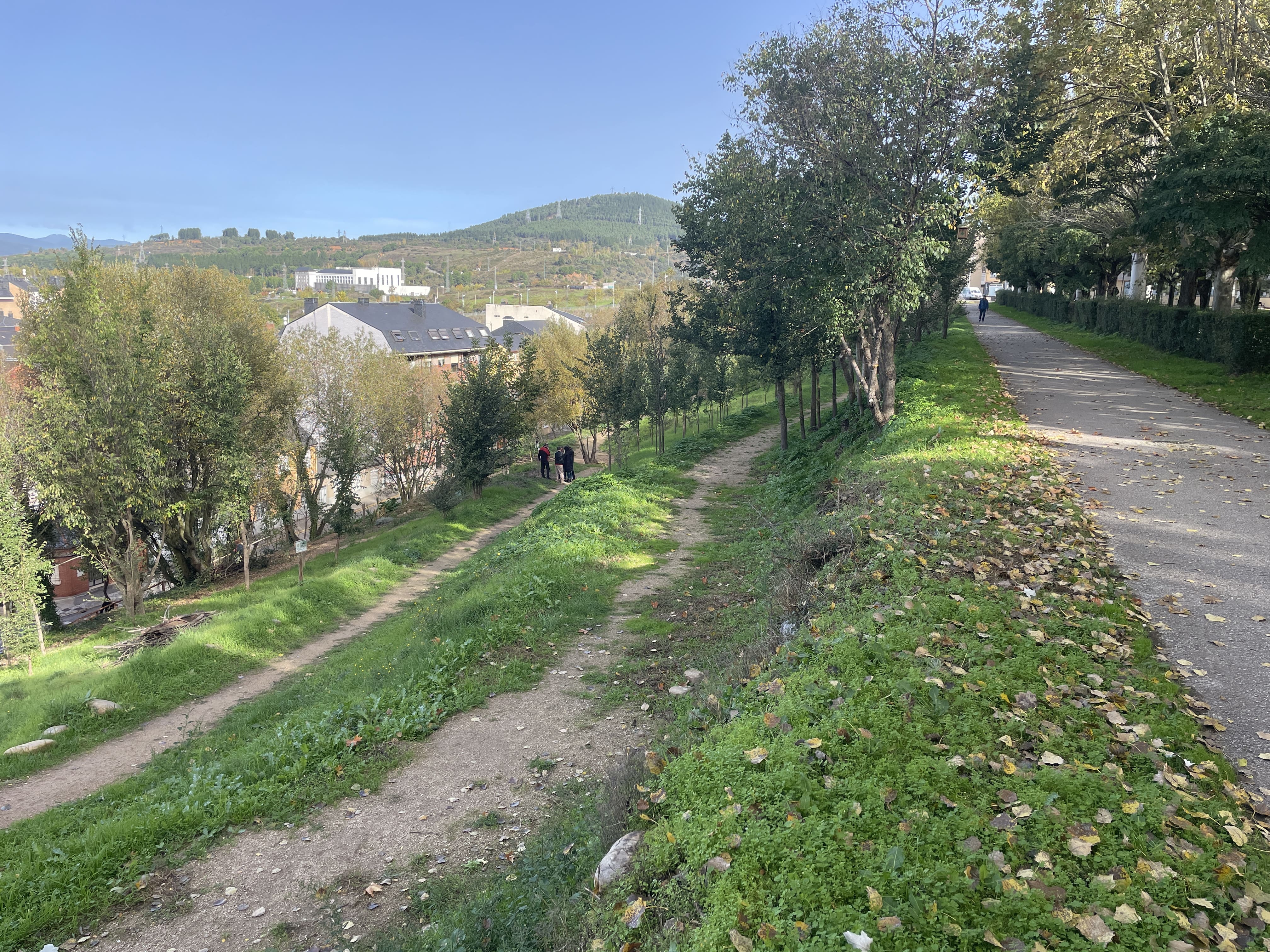 Nueva apariencia de la ladera del Parque del Plantío. | JAVIER FERNÁNDEZ