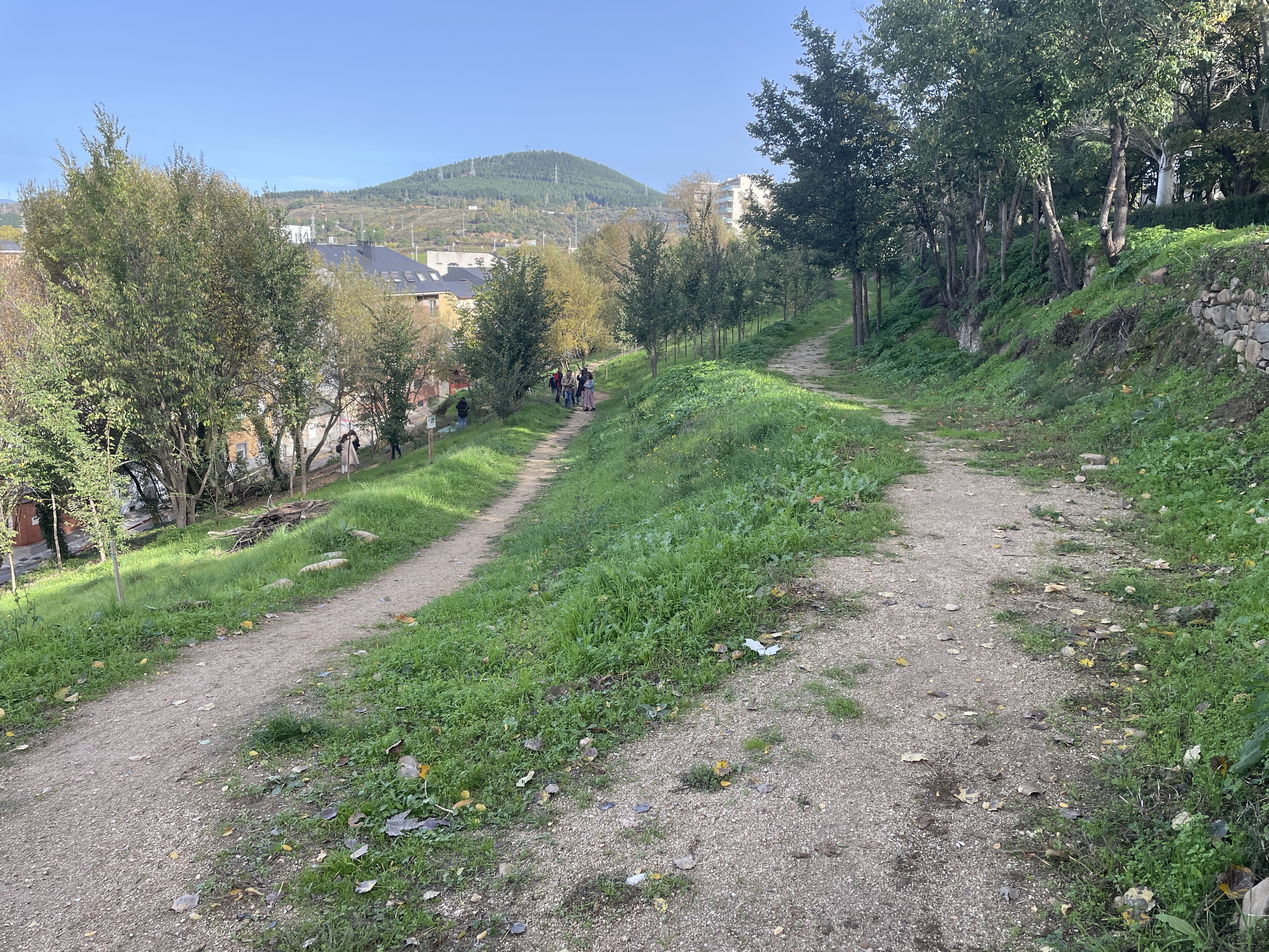 Nueva apariencia de la ladera del Parque del Plantío. | JAVIER FERNÁNDEZ