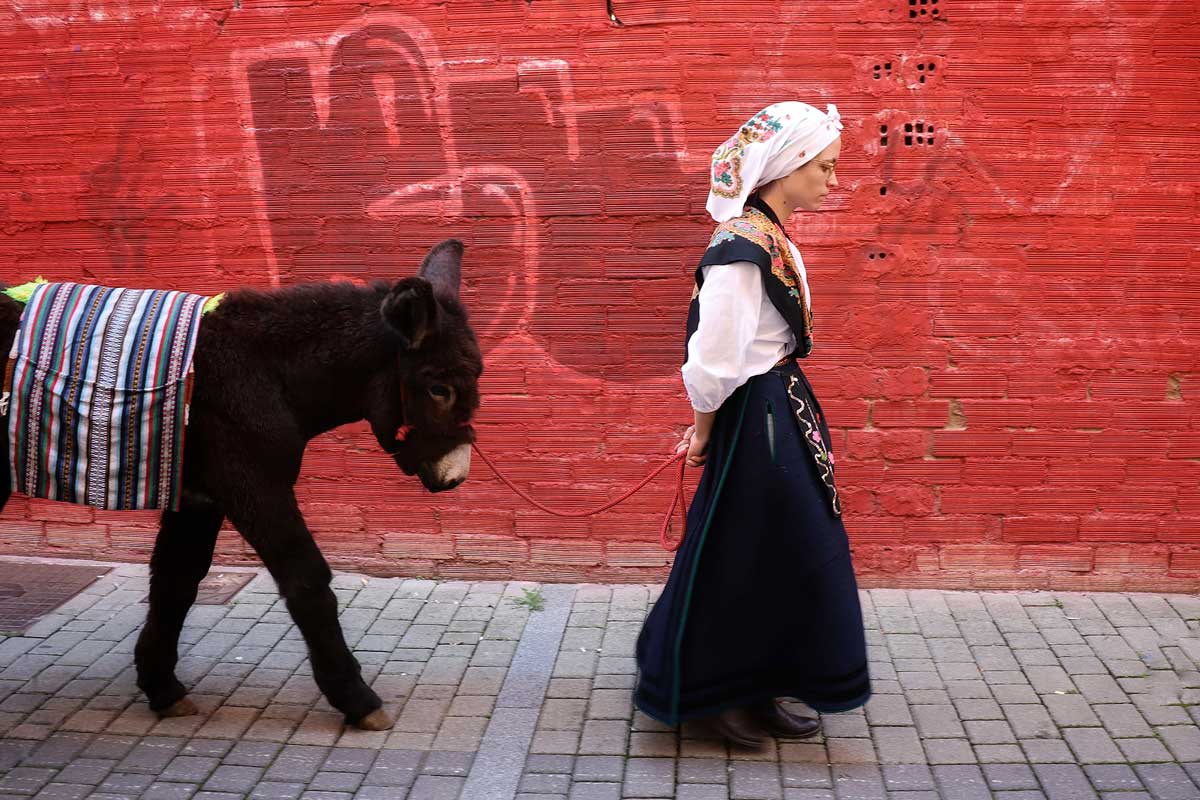 ‘¡Ay! León si tu supieras, lo que siento yo al partir’ es la fotografía que resultó ganadora. | PASCUAL MARÍN