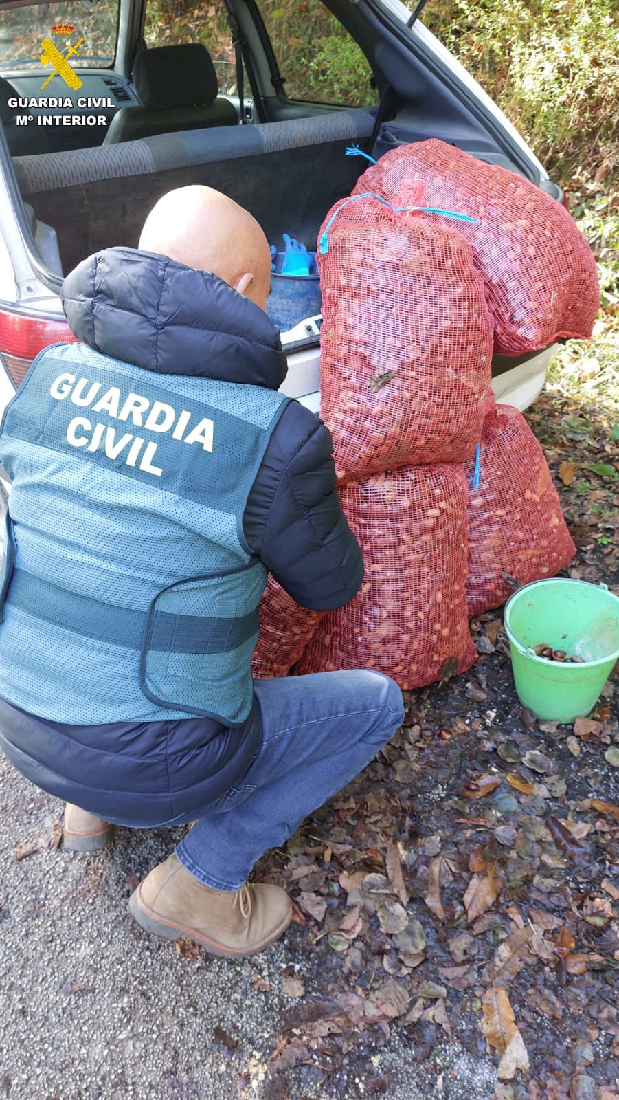 Agentes recuperando las castañas objeto del robo.