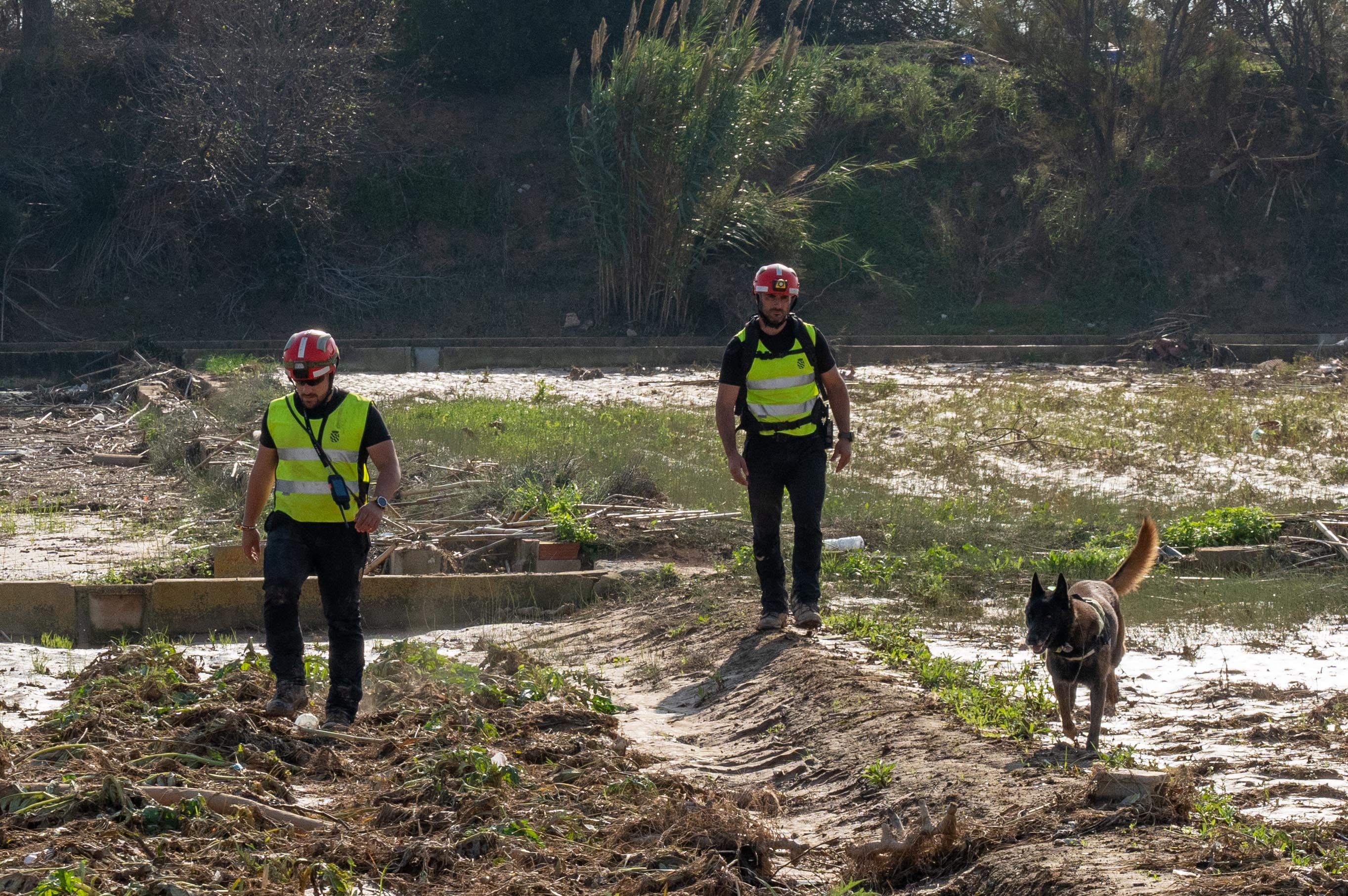  Militares de la UME, durante su búsqueda en La Albufera. | EDUARDO MARGARETO (ICAL)