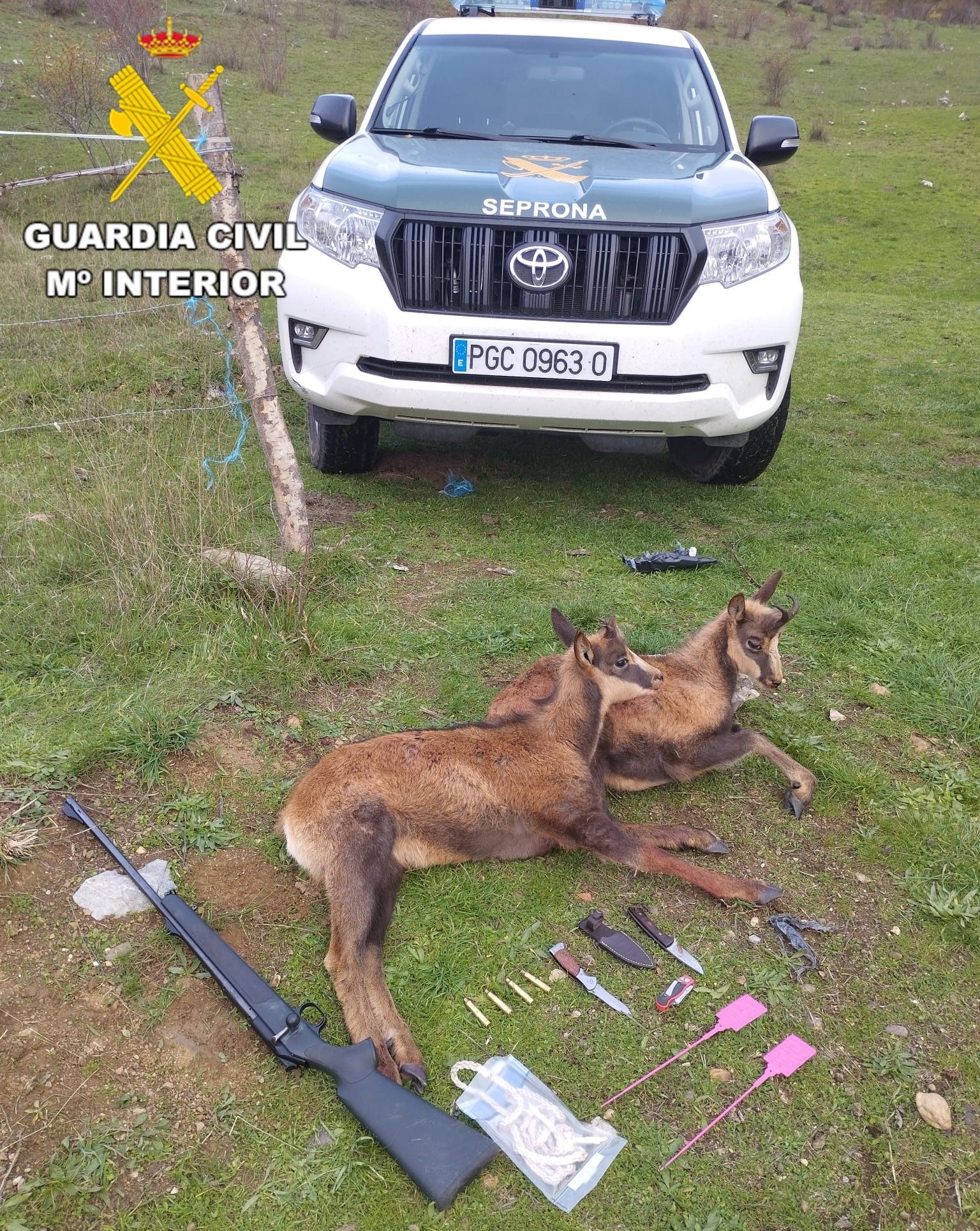 El Seprona está realizando diversos servicios en el Parque Natural de Babia y Luna. | L.N.C.