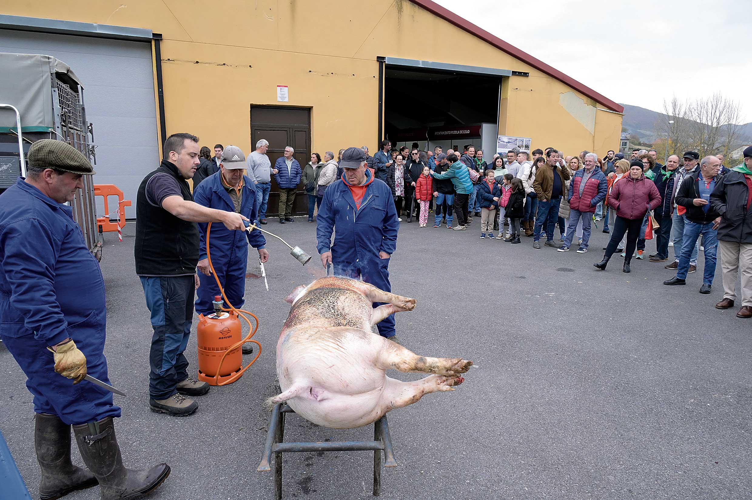 Matanza del cerdo en Puebla de Lillo. | MAURICIO PEÑA