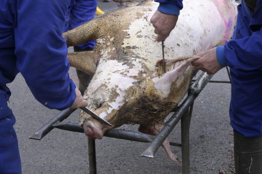 Feria de la Matanza de Puebla de Lillo 2024