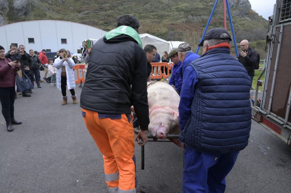 Feria de la Matanza de Puebla de Lillo 2024