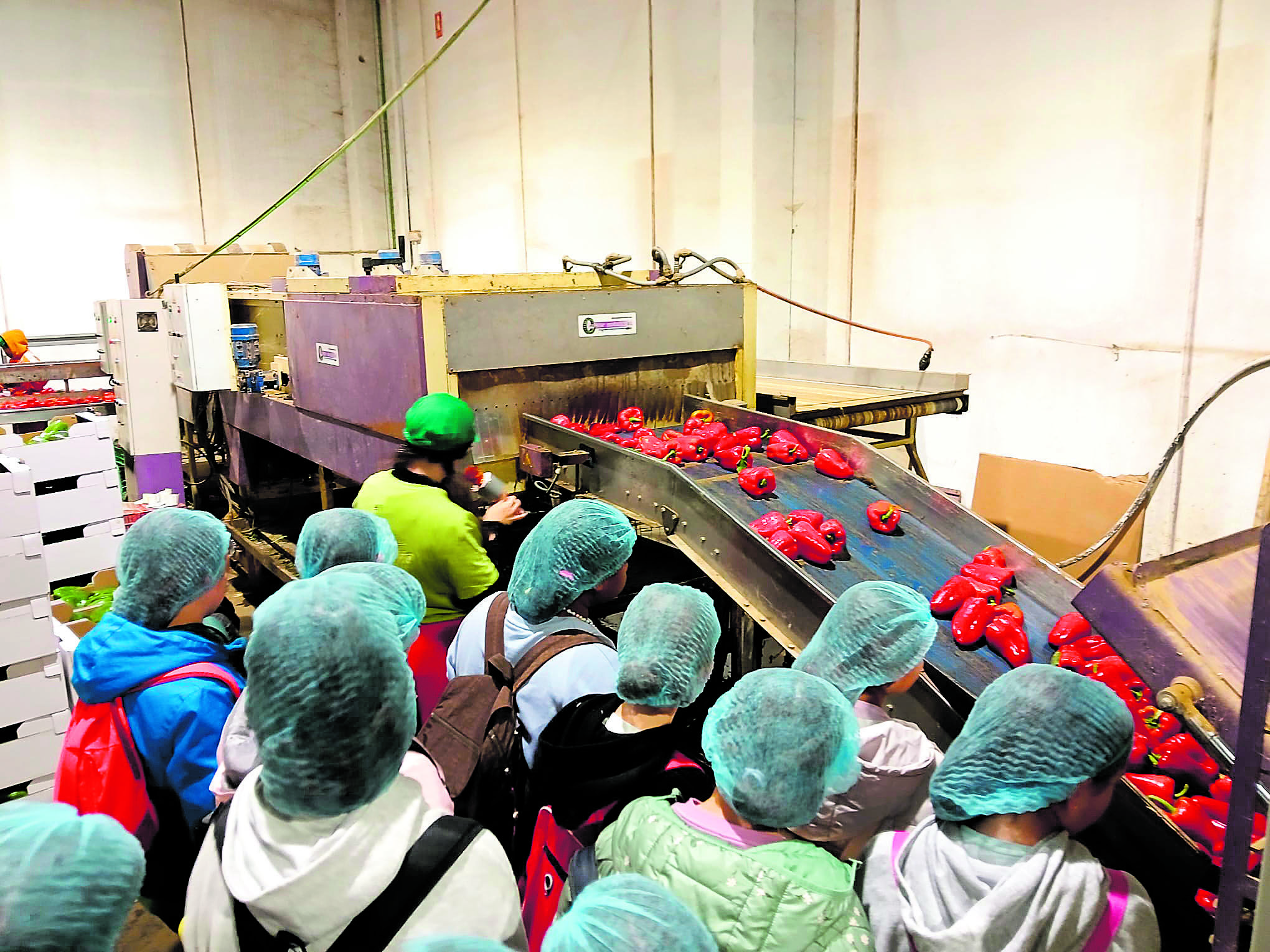 Visita a la fábrica de Productos Morán donde los escolares conocieron mejor los secretos del pimiento de Fresno de la Vega. | L.N.C.