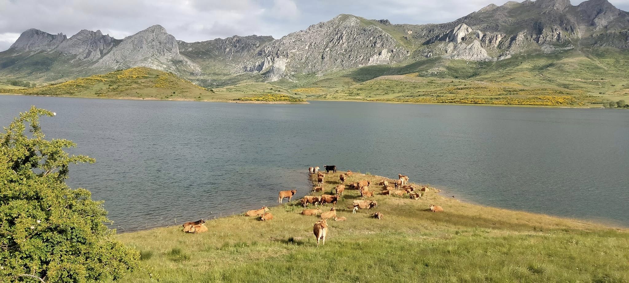 Fotografía del embalse de Casares de Arbas. | FRBAB