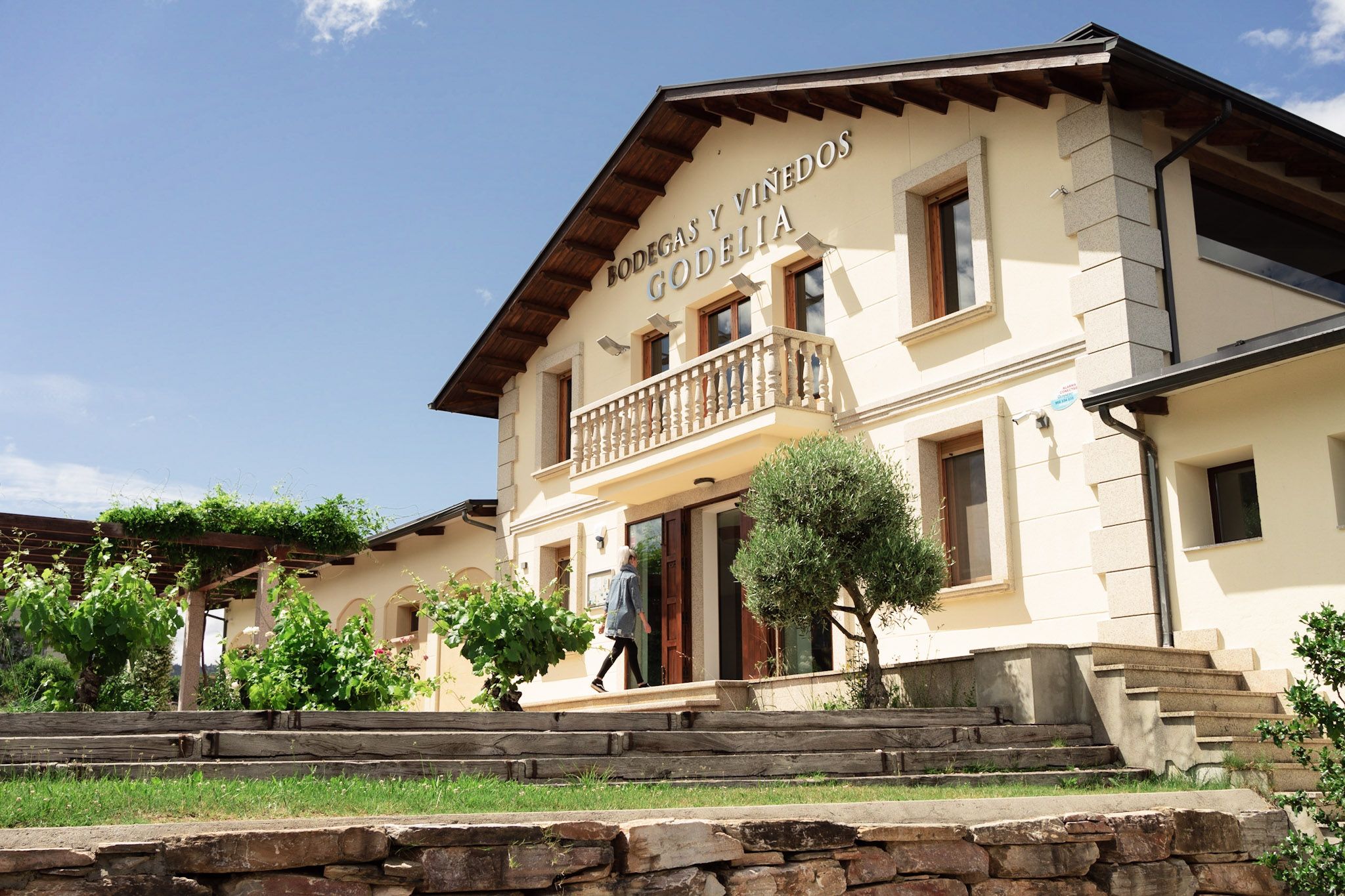 Visitar Bodegas Godelia es mucho más que una actividad turística; es una inmersión en la esencia del Bierzo.