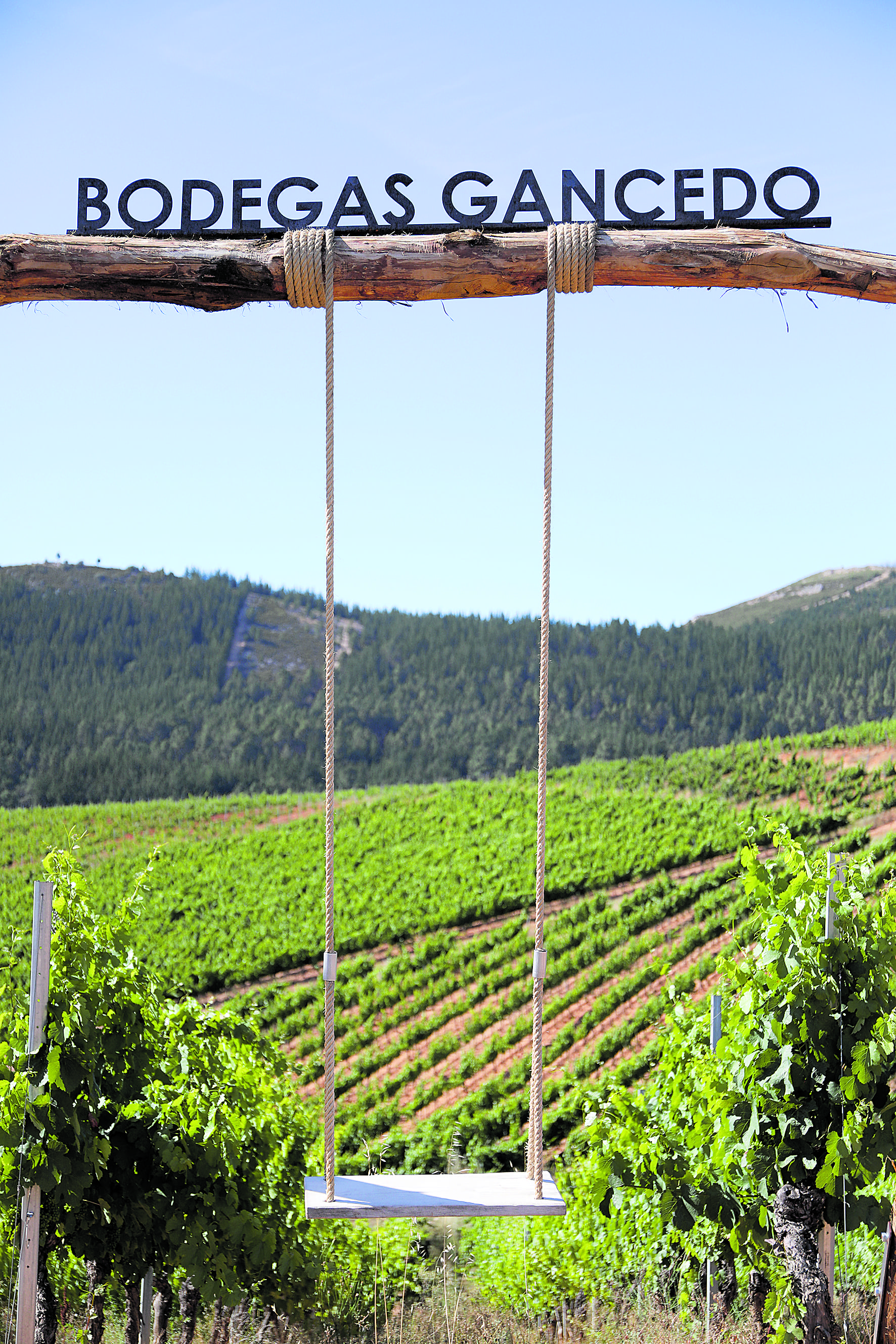 Bodegas Gancedo permite la experiencia de columpiarse en un viñedo.