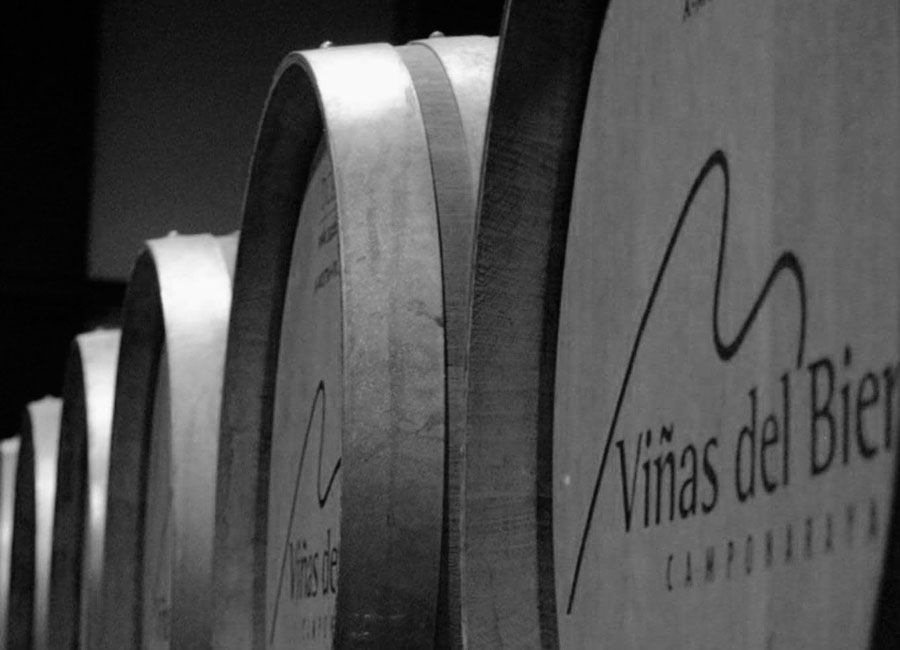 Su bodega, ubicada en Camponaraya, en las cercanías de Ponferrada, tiene una superficie de 25.000 m2 y capacidad para albergar 10 millones de litros de vino.