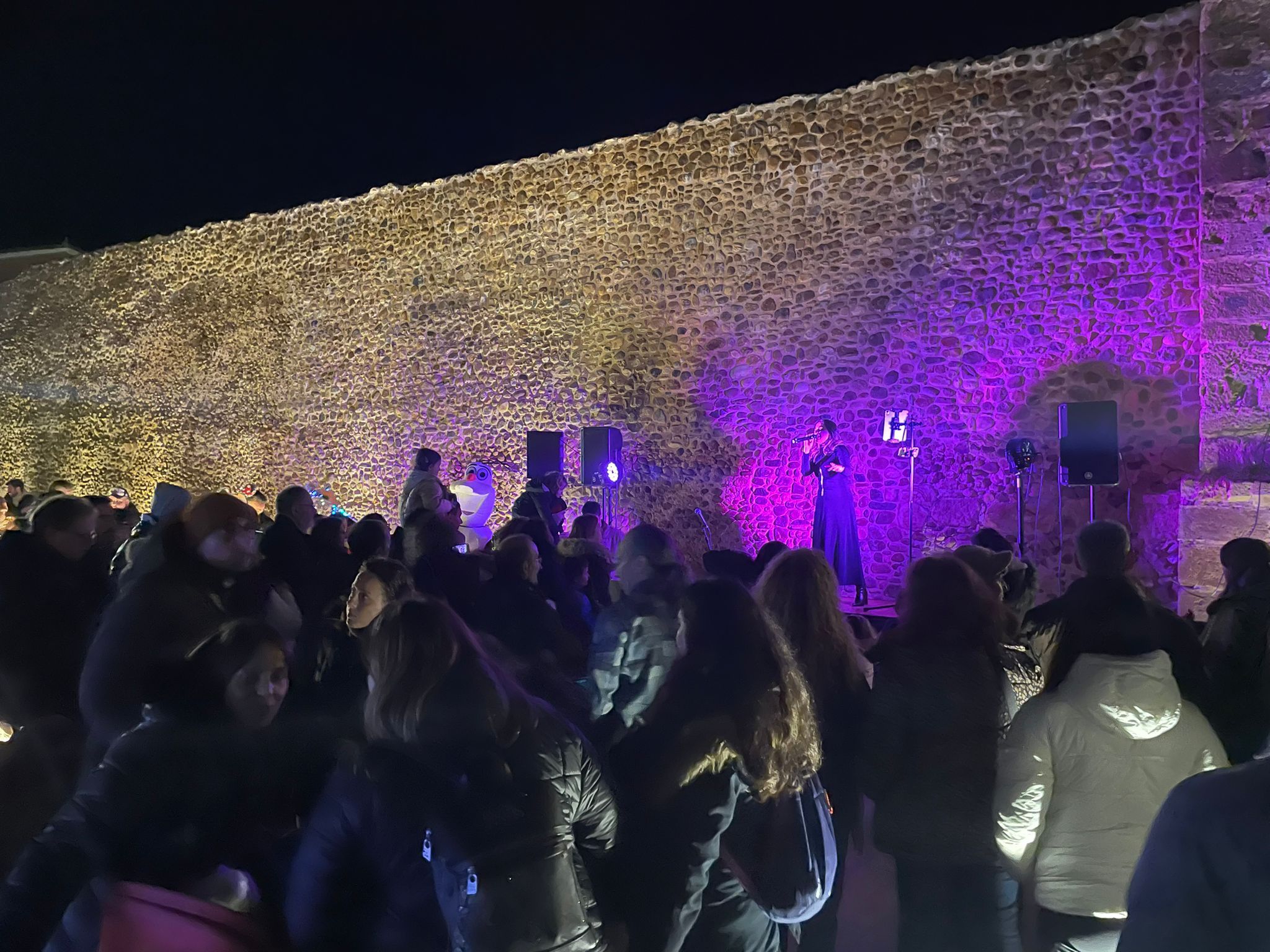 Encendido de la Navidad en Almanza.