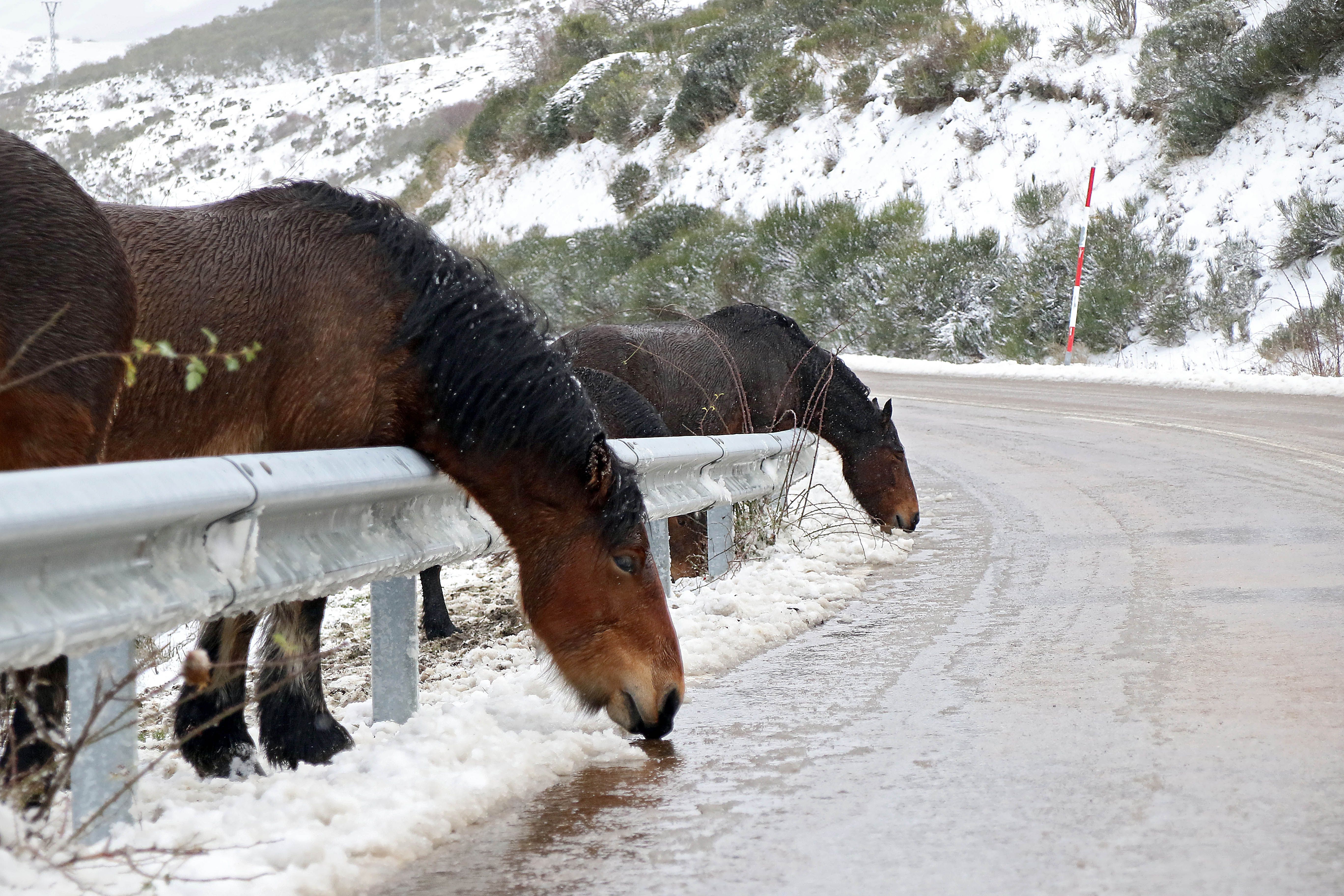 Nieve en el puerto de Pajares 