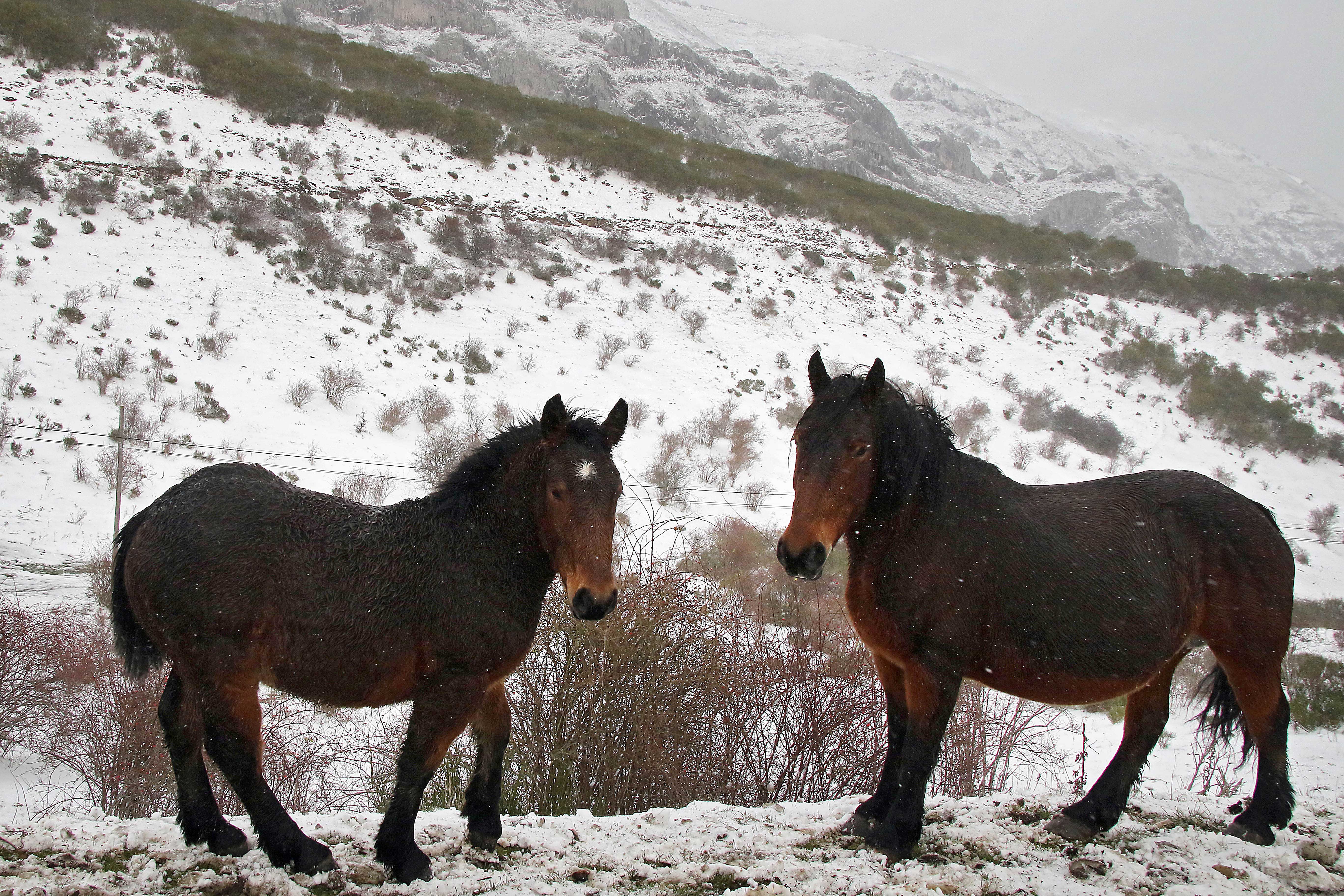  Nieve en el puerto de Pajares 