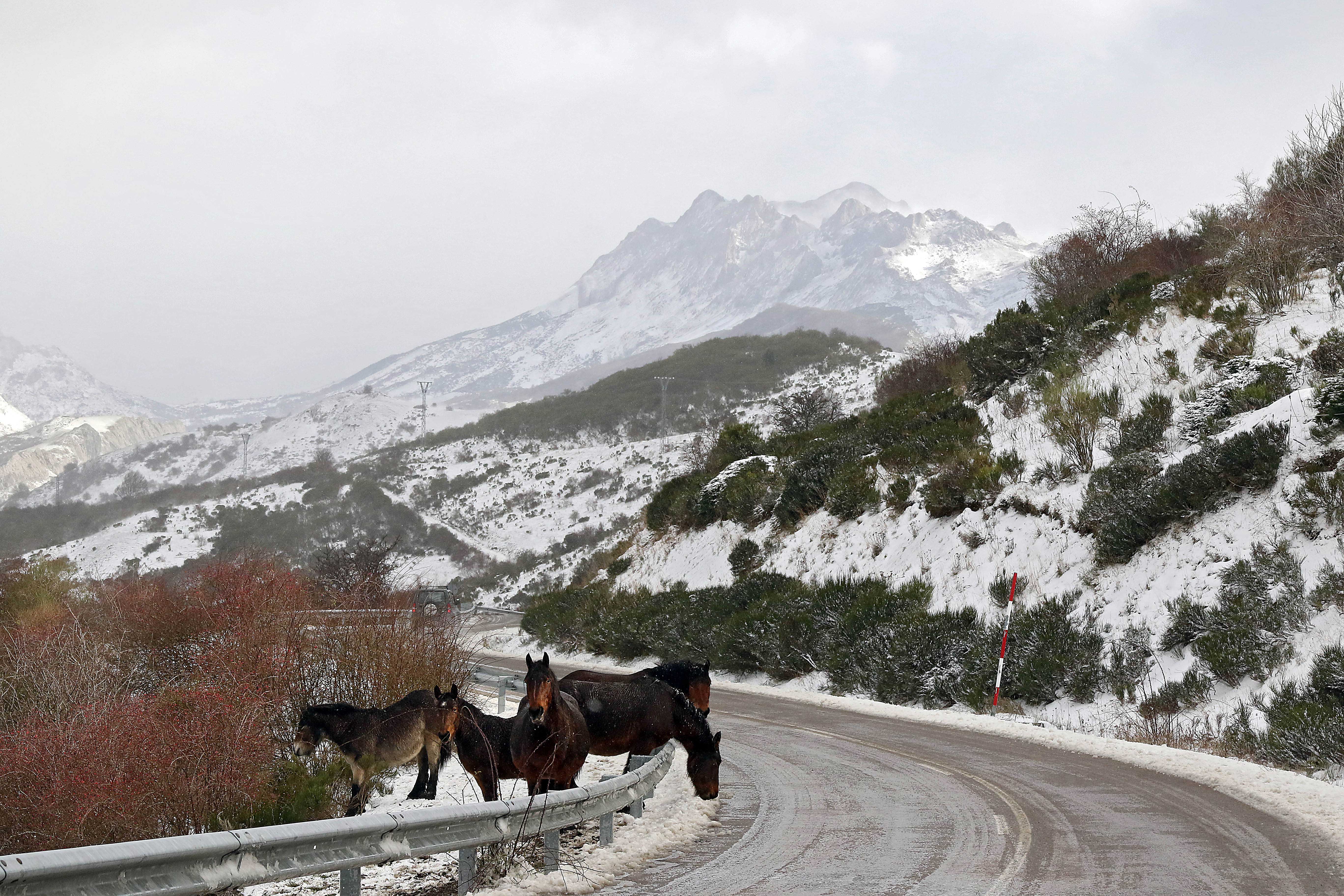  Nieve en el puerto de Pajares 