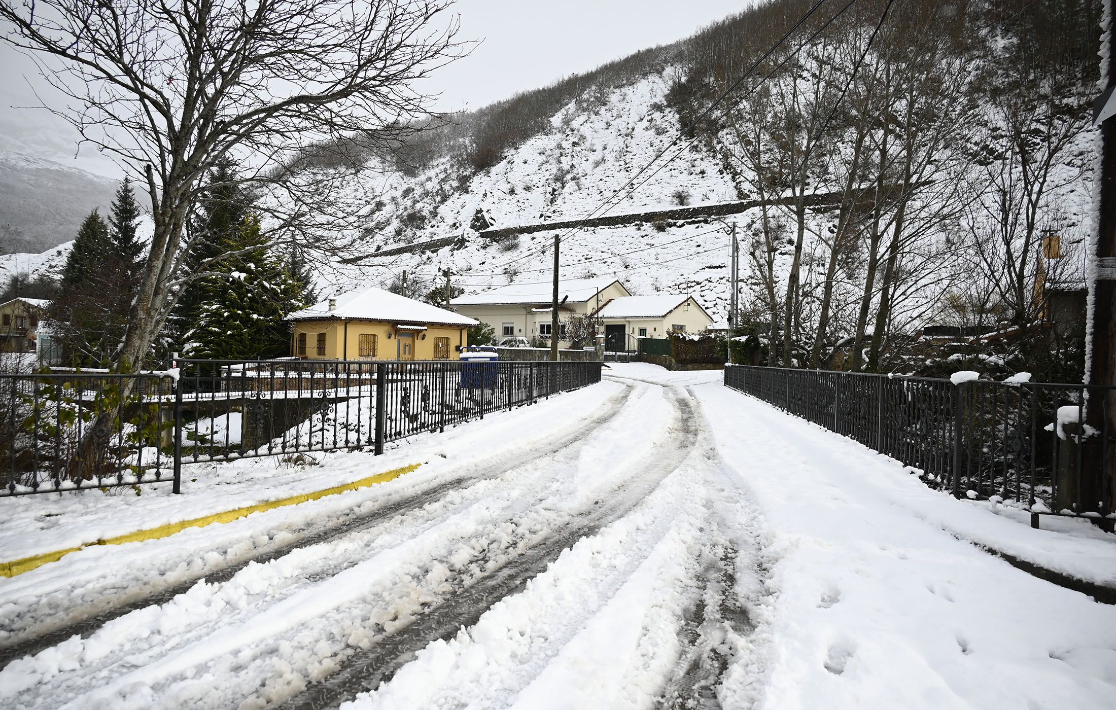 NIEVE EN LEON (7)