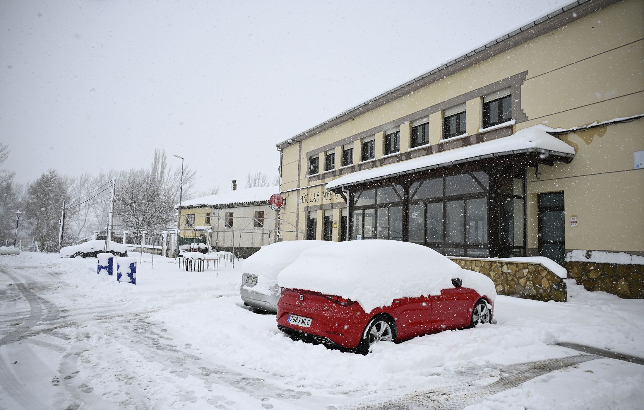 NIEVE EN LEON (14)