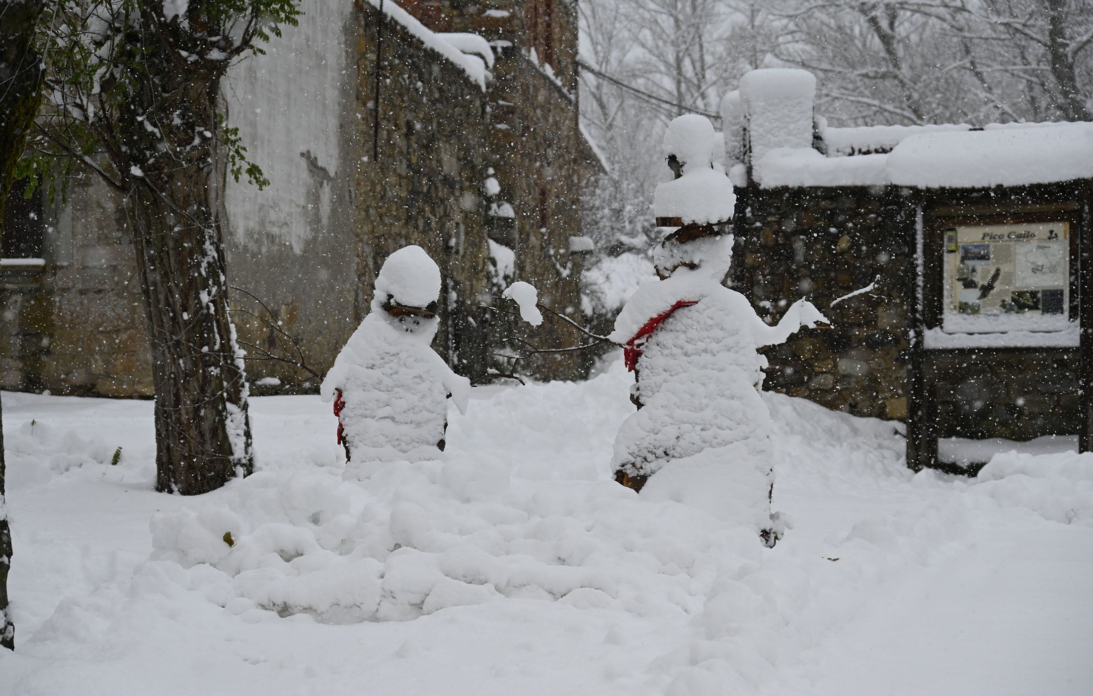 NIEVE EN LEON (16)