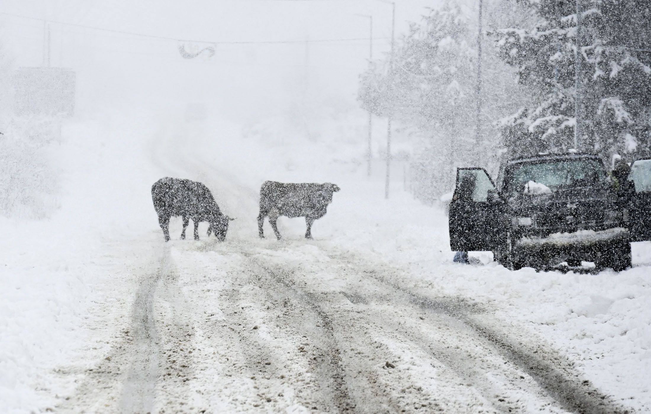 Nieve en la montaña leonesa. | SAÚL ARÉN