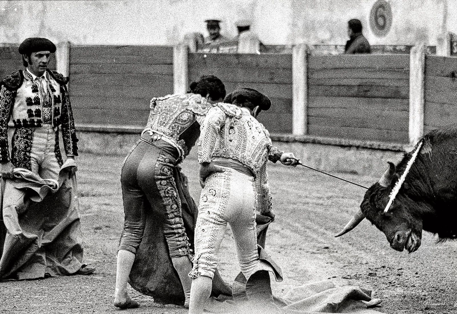 Felipe Zapico en su faceta más destacada dentro de su andadura puramente taurina, la de banderillero, con numerosos paseíllos en las plazas. | FERNANDO RUBIO