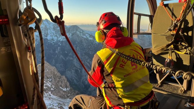 encuentran montanero leones picos